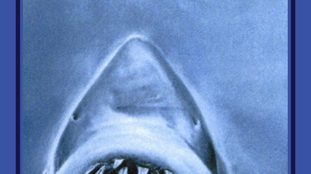 LUCKY SEVEN X JAWS